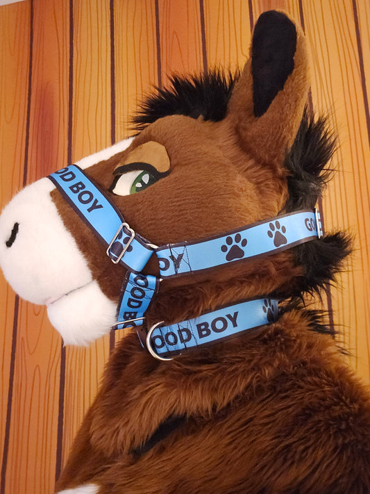 Good Boy Nylon Items