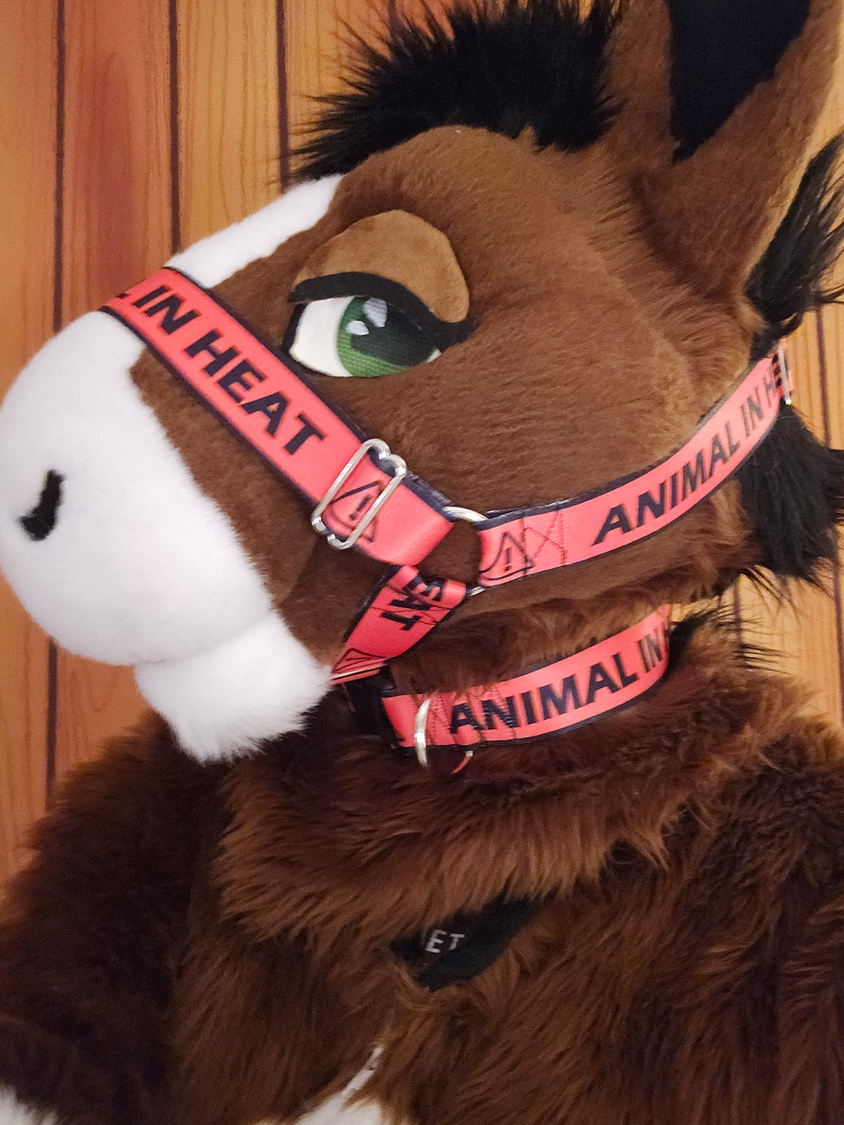 Animal in Heat Nylon Items