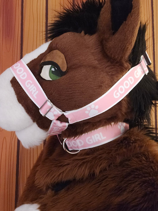 Good Girl Nylon Items