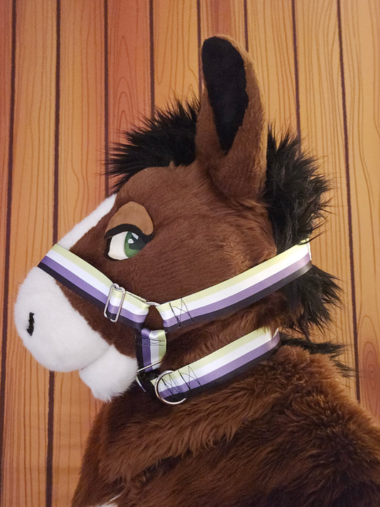 Nonbinary Pride Nylon Items