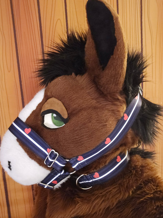 Leather Pride Nylon Items