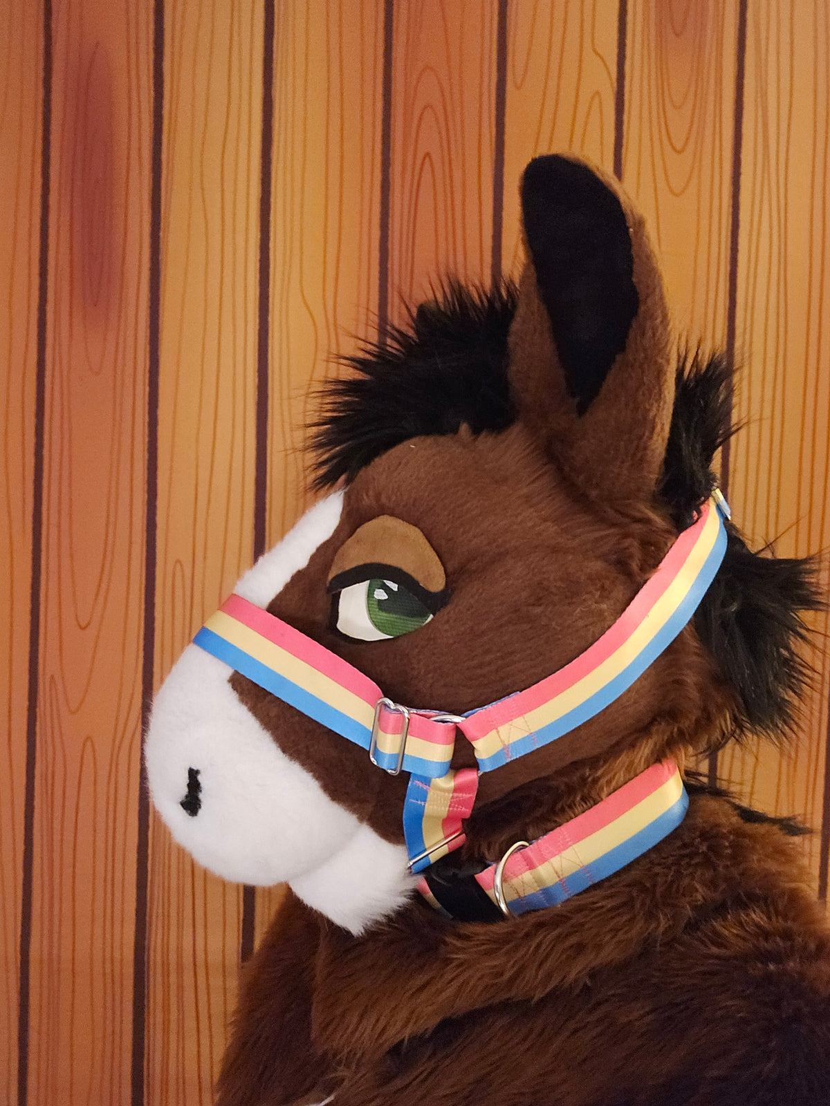 Pansexual Pride Nylon Items