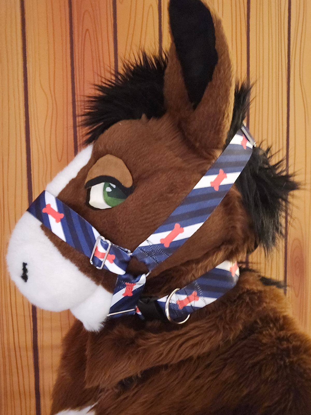 Puppy Pride Nylon Items