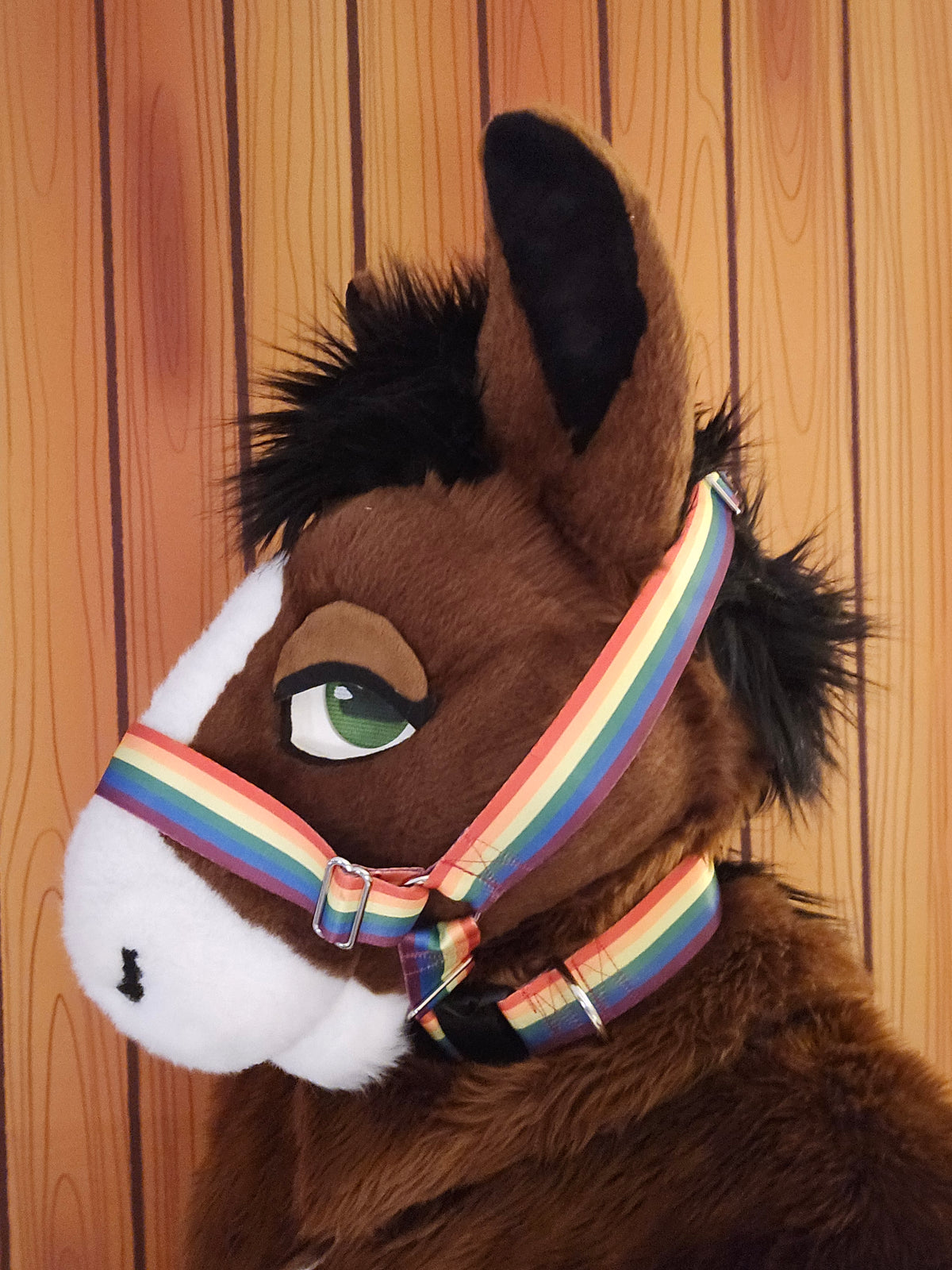 Rainbow Pride Nylon Items