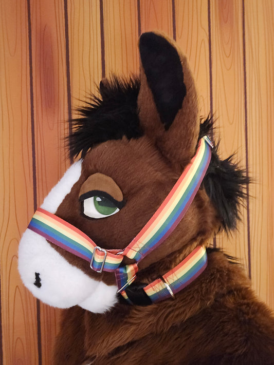 Rainbow Pride Nylon Items