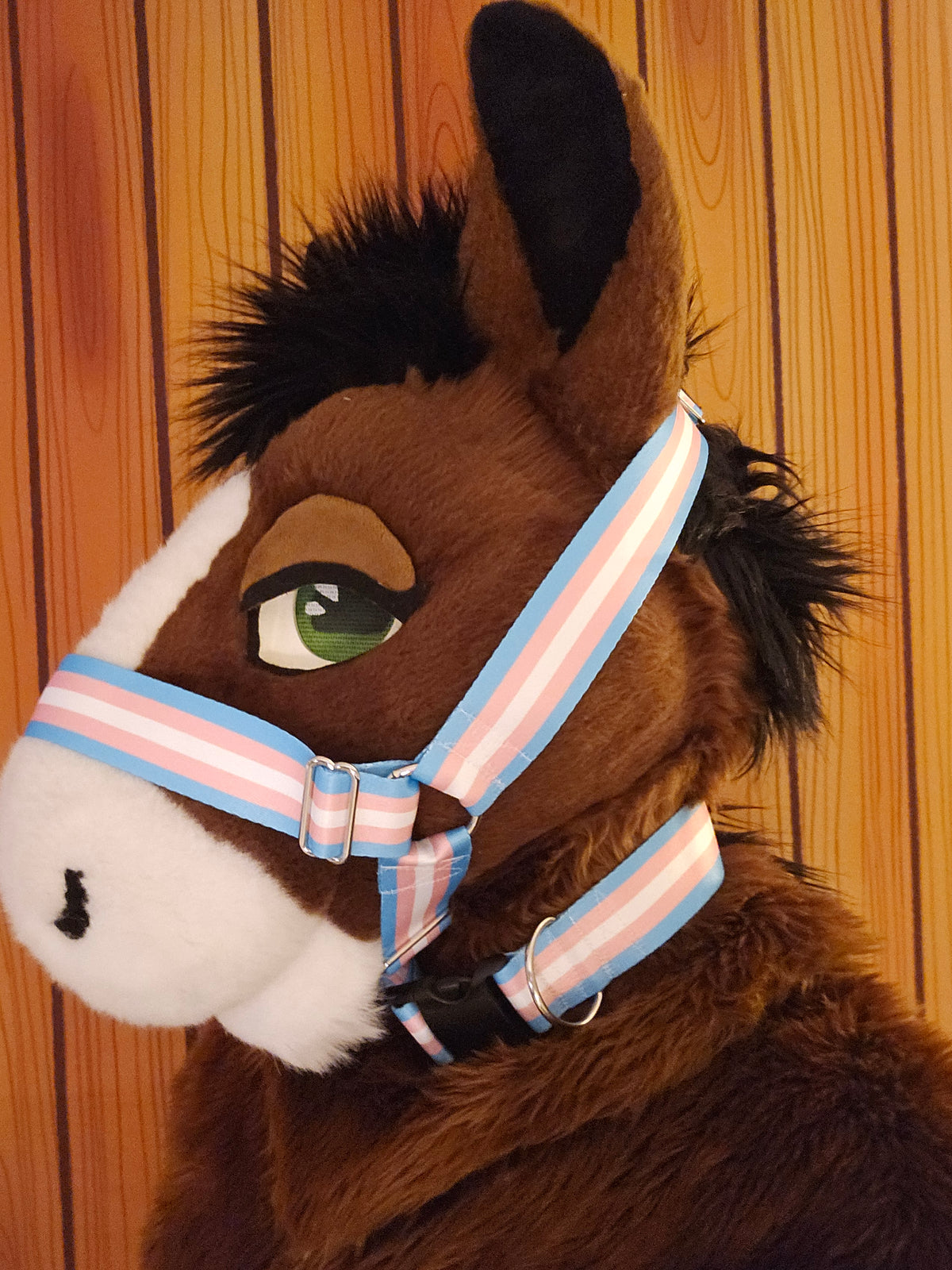 Trans Pride Nylon Items
