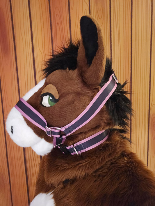 Light Purple w- Black Stripe Nylon Items