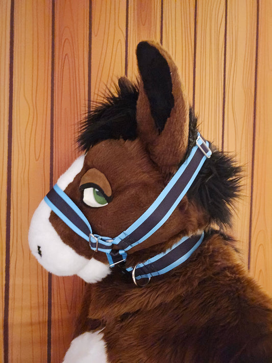 Light Blue w- Black Stripe Nylon Items