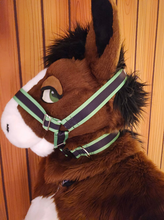 Green w- Black Stripe Nylon Items