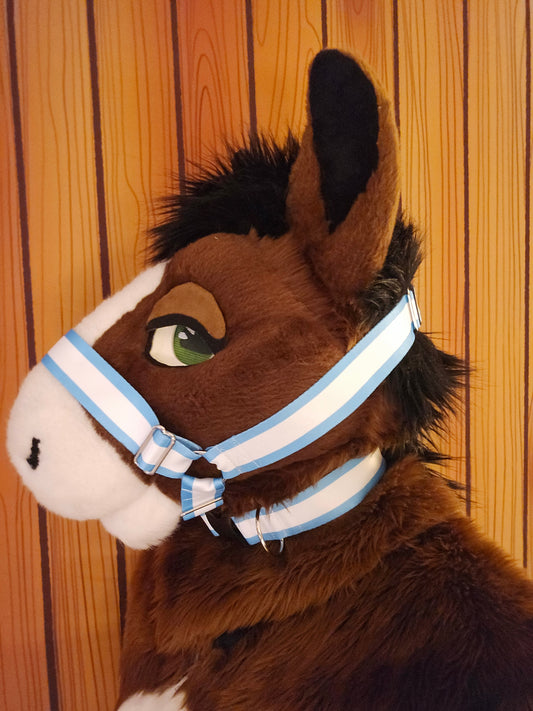 Light Blue w- White Stripe Nylon Items