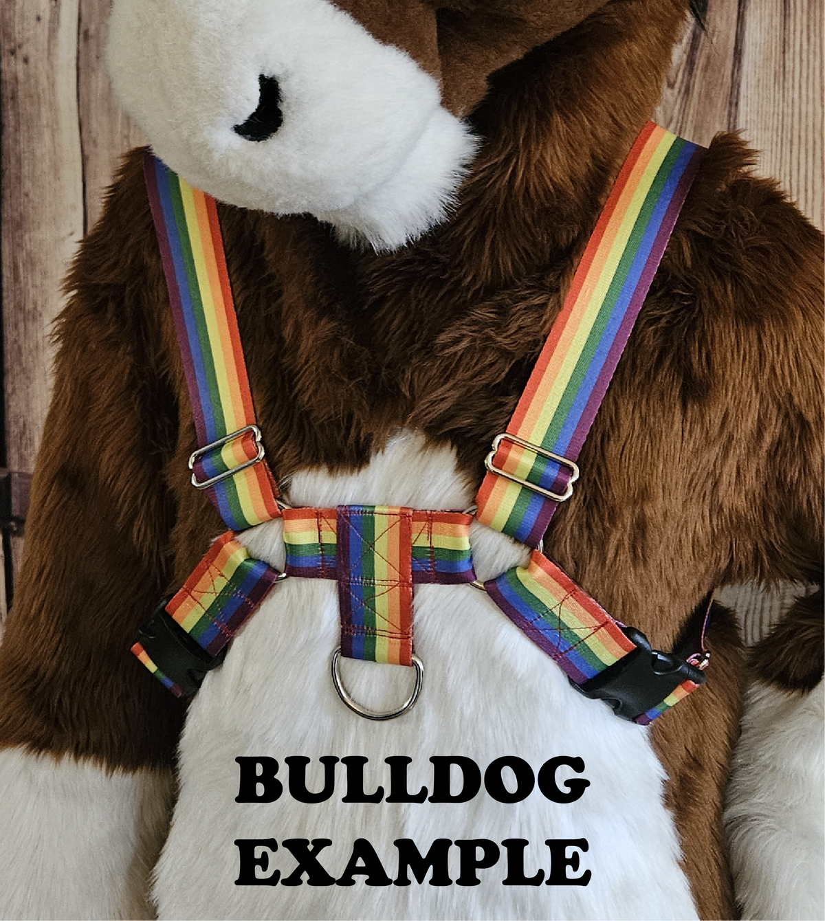 Ace Pride Nylon Items