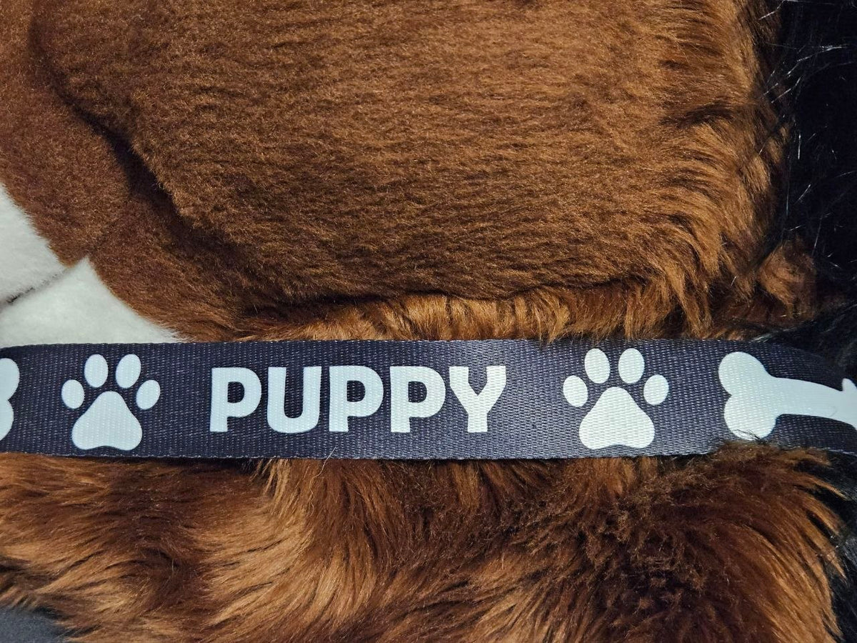 Puppy Black Nylon Items